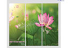 Địa chỉ in tranh đồng hồ giá rẻ nhất Hà Nội | Hộp hoa tròn xu thế mới | Qua Tang Pha le